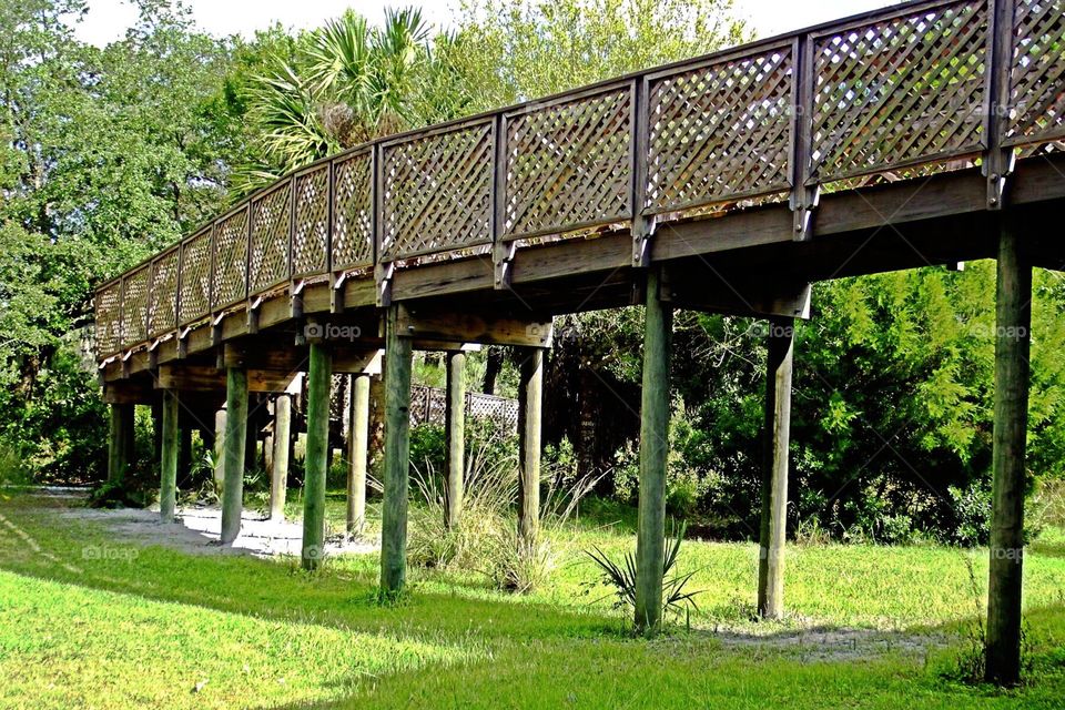 Bridge in the woods . Bridge in the woods