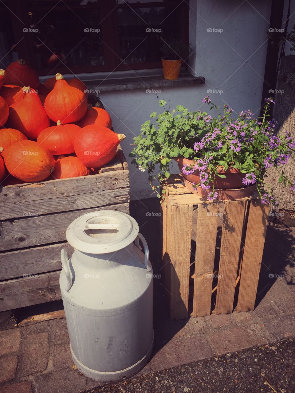 Milk canister near stack of pumpkin