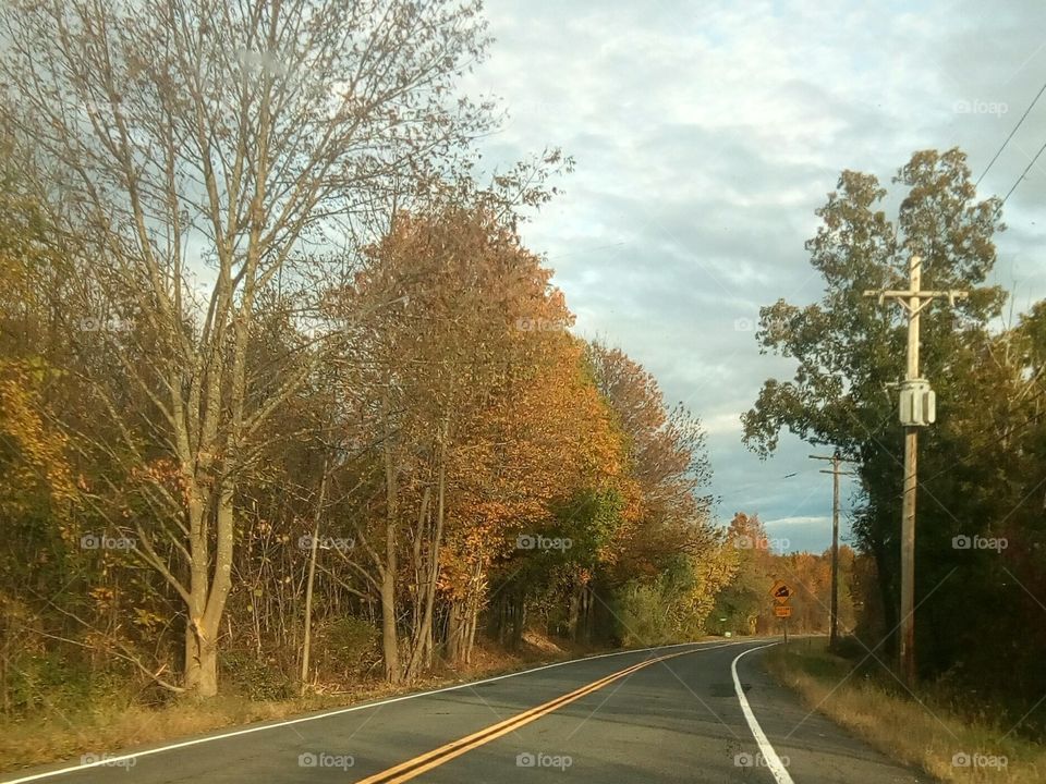 Autumn in the Northeast