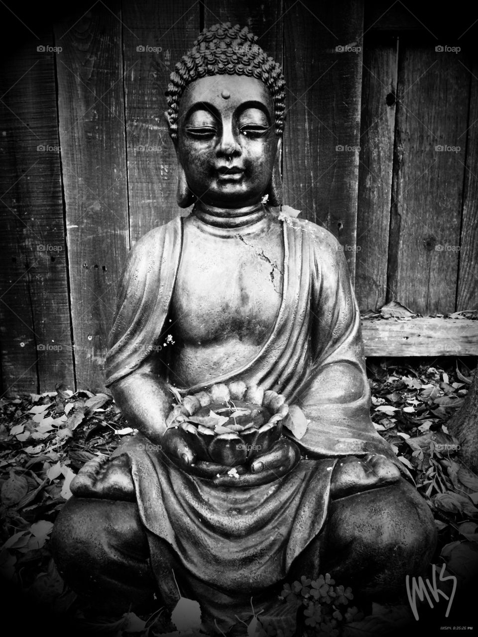 Buddha by Day