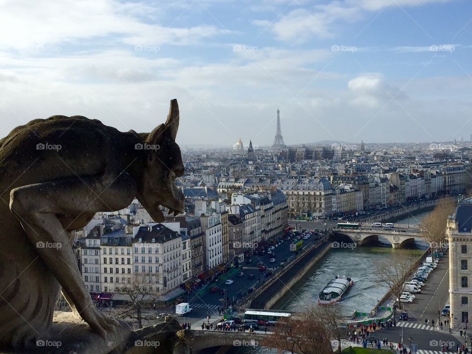 View from the top of Notre Dame. Gargoyle overlooking the beautiful city of Paris. 