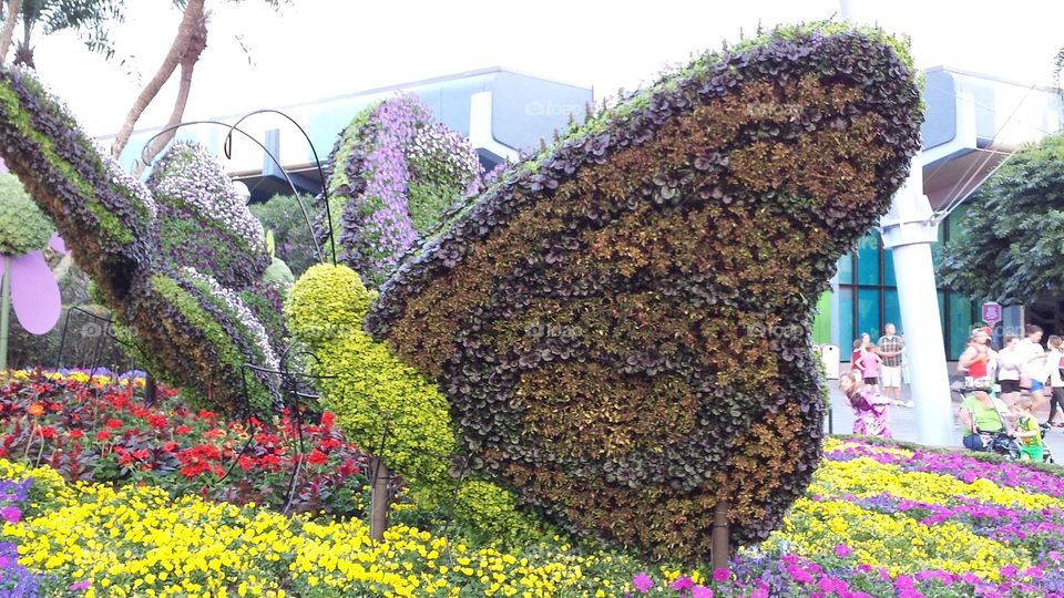 Butterfly Topiary in Spring