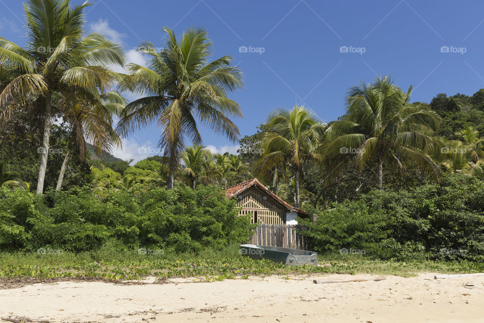 Ilha Grande in Rio de Janeiro.