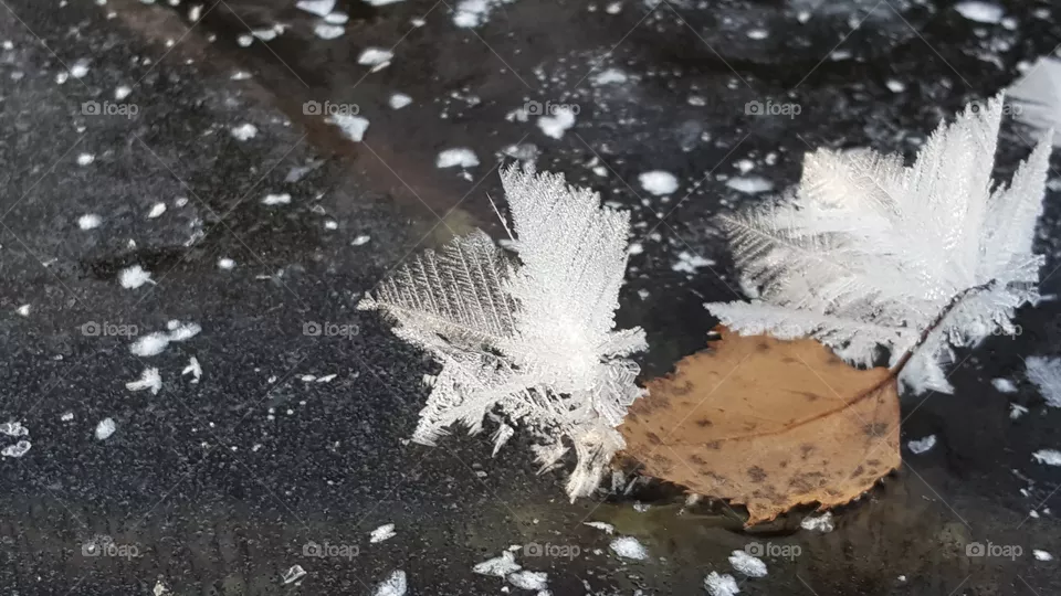 Ice