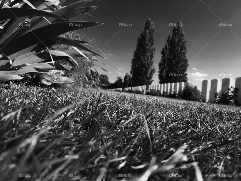 military cemetery. This picture is dedicated to all the soldiers who have fought for our country in World War 1