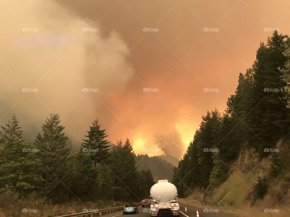 Eagle Creek Fire