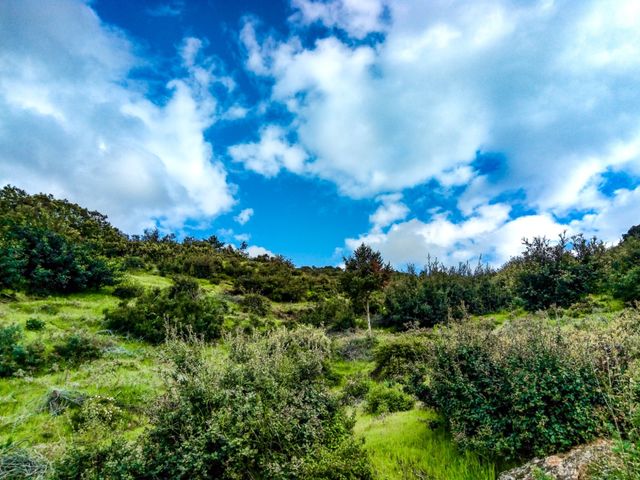 nature