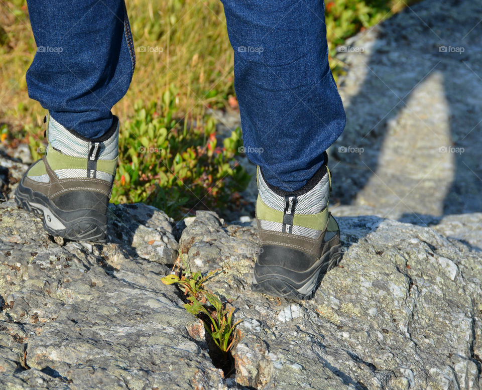 As hikers and adventures, the great outdoors is our oasis. It provides a sense of fulfillment and serenity. As we trek up Mount Cadillac, the idea of becoming "one with nature" becomes reality. Hiking does just that. We become more aware of our surroundings. Every sense strengthens and a peaceful calmness pushes your worries away. Drop your technology at the door for a few hours (except your cellphone and camera) - NATURE AWAITS!