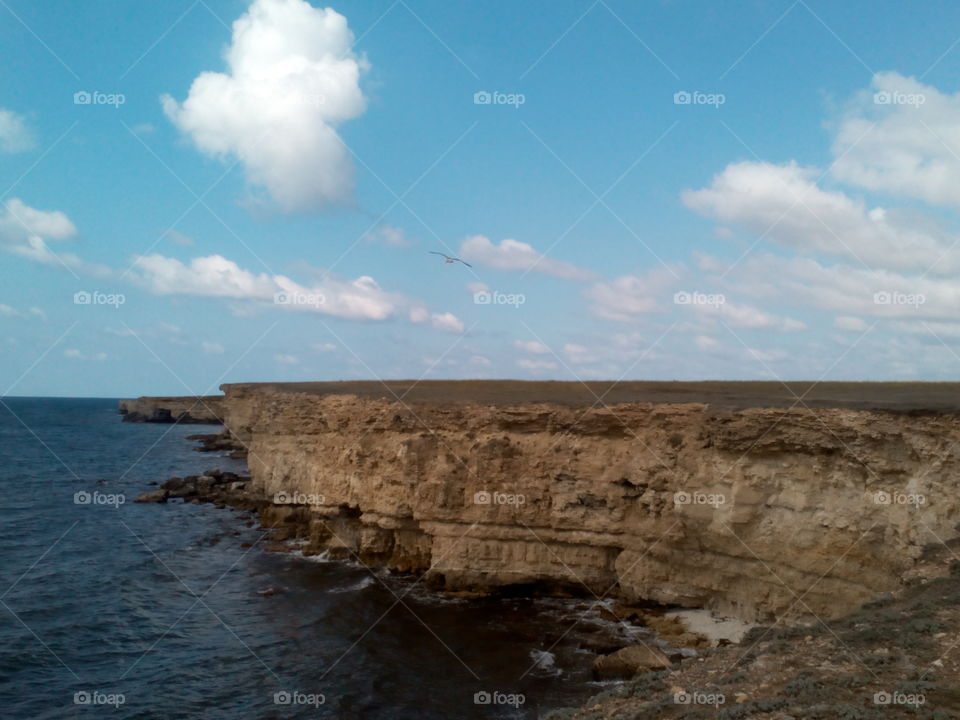 Water, Sea, Seashore, Landscape, Ocean