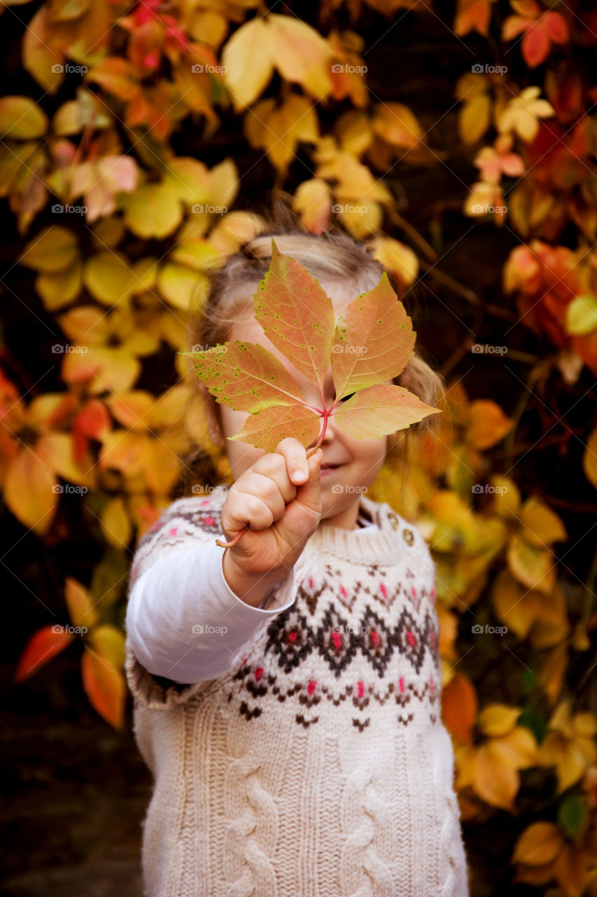 kid holding leaf. kid in a great sweater holding fallen leaf in front of her face with colorful autumn background