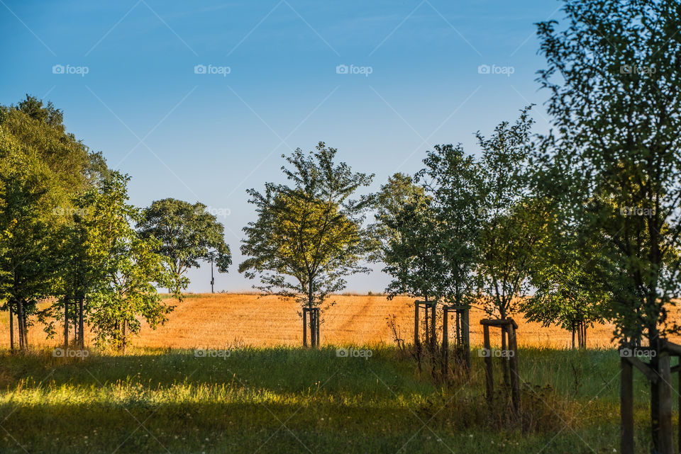 fall, landscape