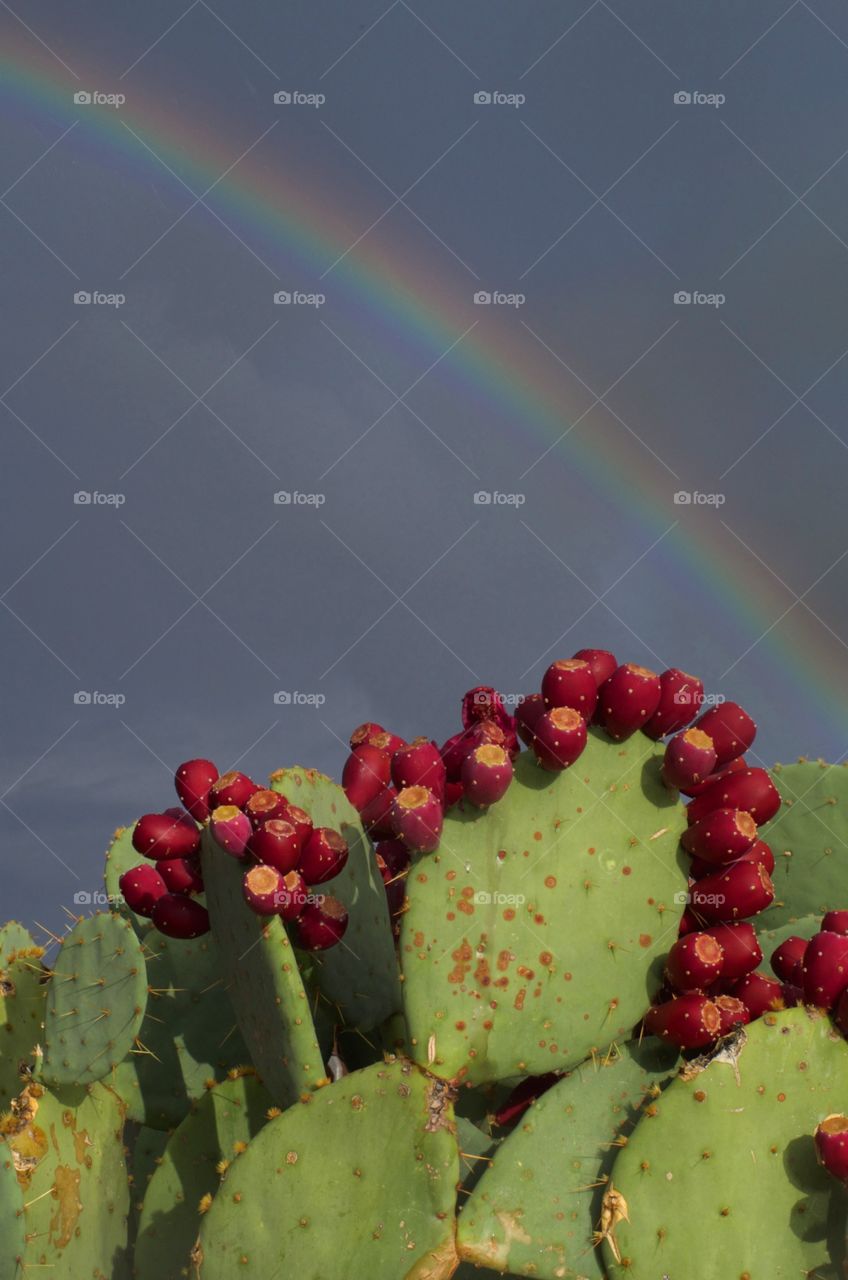 Desert rainbow