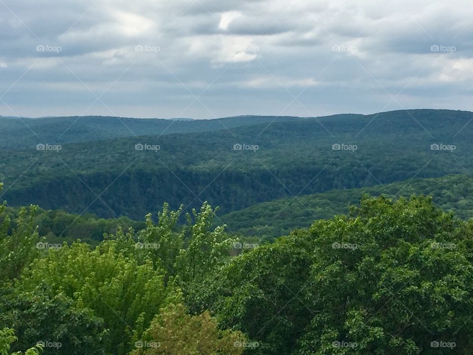 View from the observation tower 