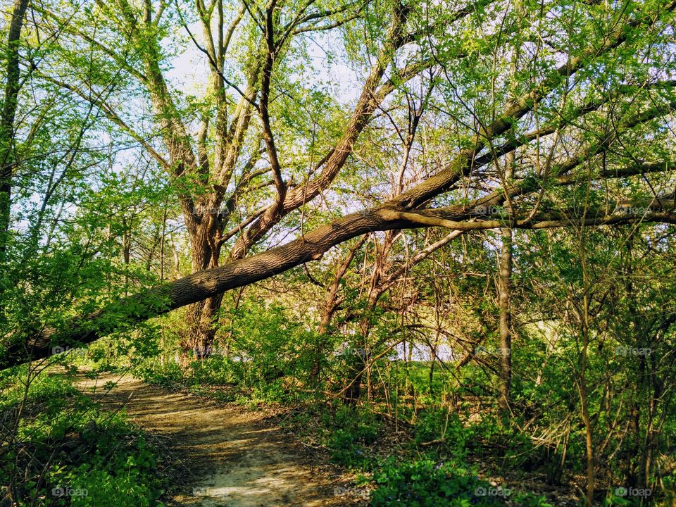 Silver Lake, Rochester, MN