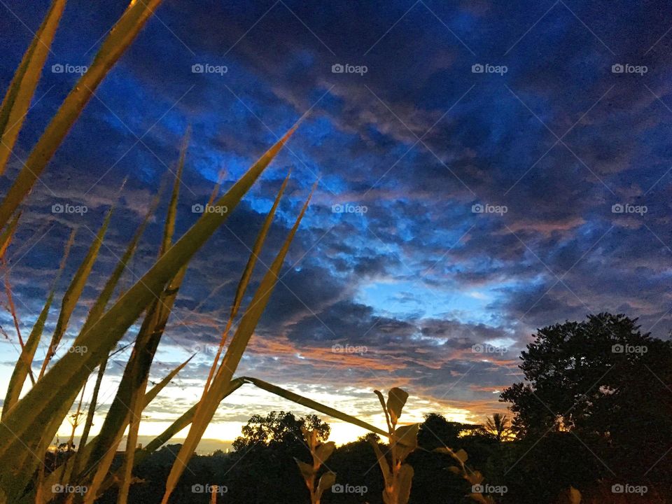 Entre o mato, desperta #Jundiaí!
Ótima 3a feira a todos. 🌅
#sol
#sun
#sky
#céu
#nature
#manhã
#morning
#alvorada
#natureza
#horizonte
#fotografia
#paisagem
#amanhecer
#mobgraphia
#FotografeiEmJundiaí
#brazil_mobile