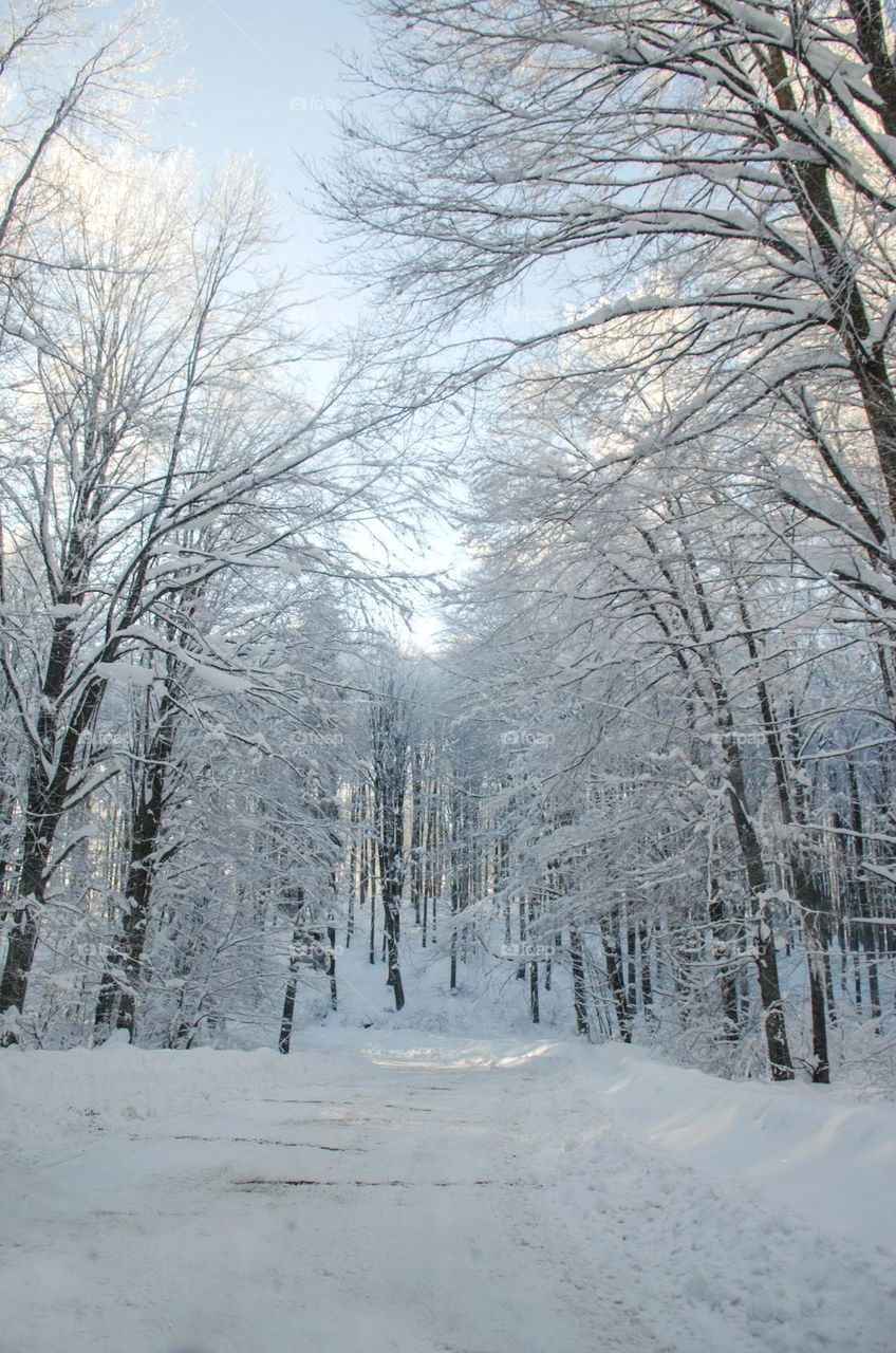 Beautiful Winter Road