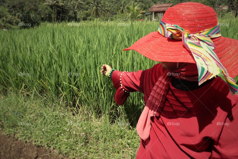 woman in field