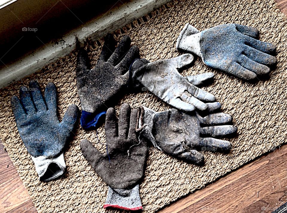 Muddy work gloves . Work gloves drying out in kitchen
