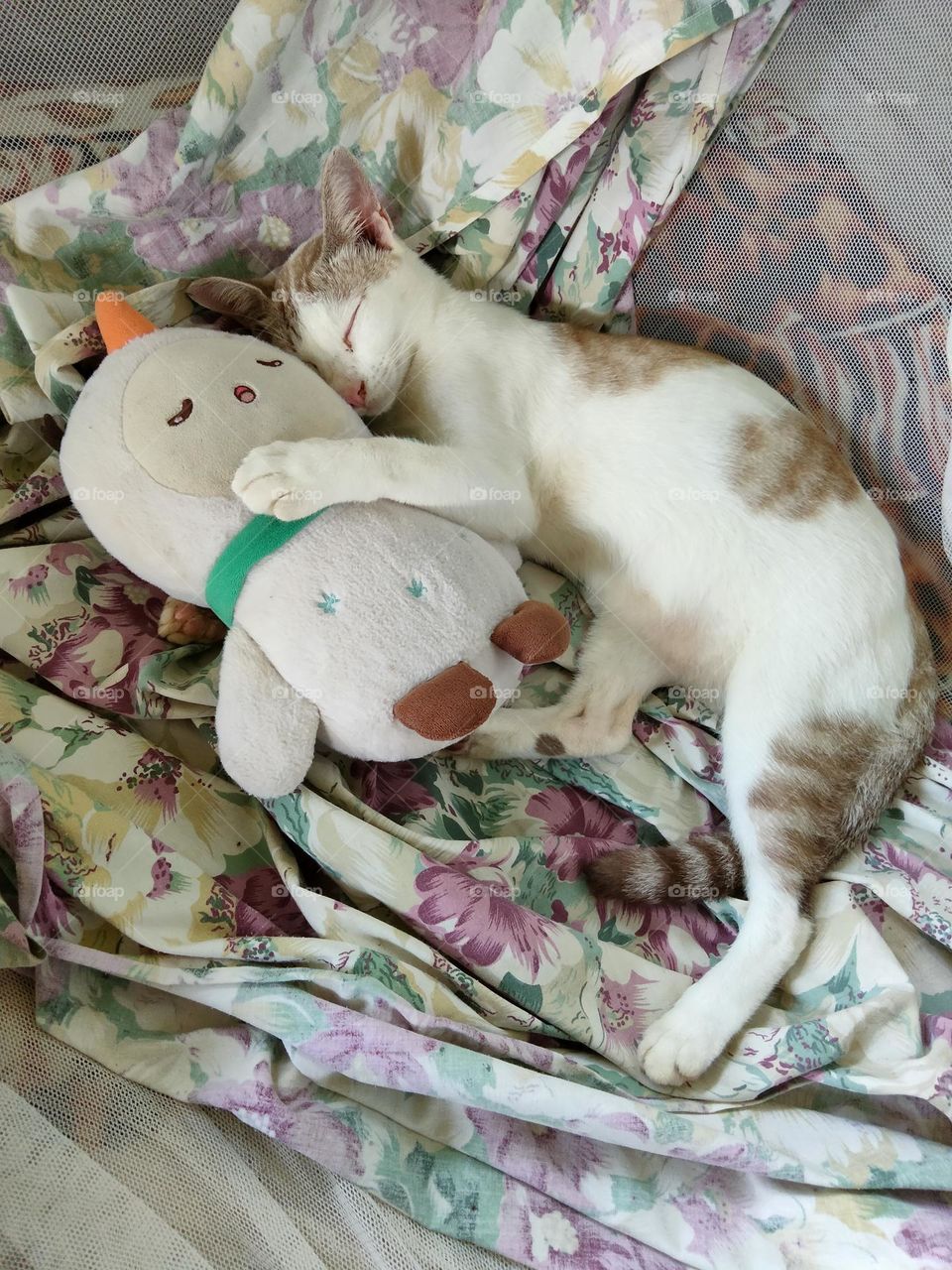 My cat and favorite doll.