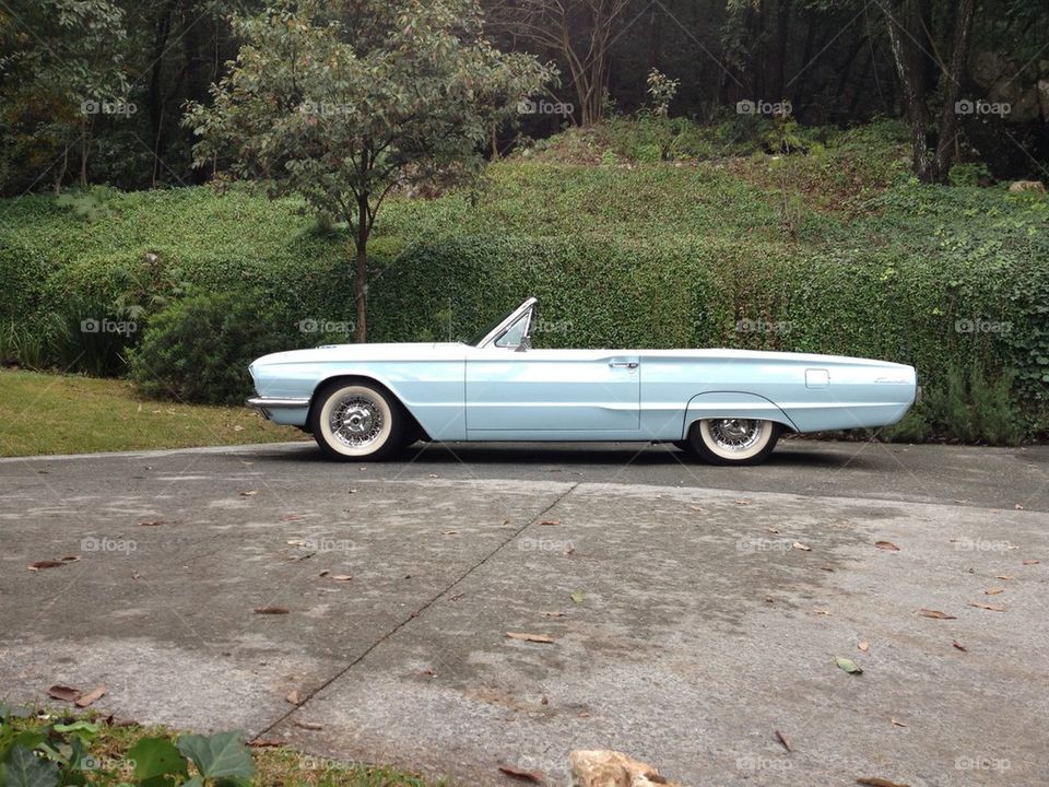 1966 Ford Thunderbird