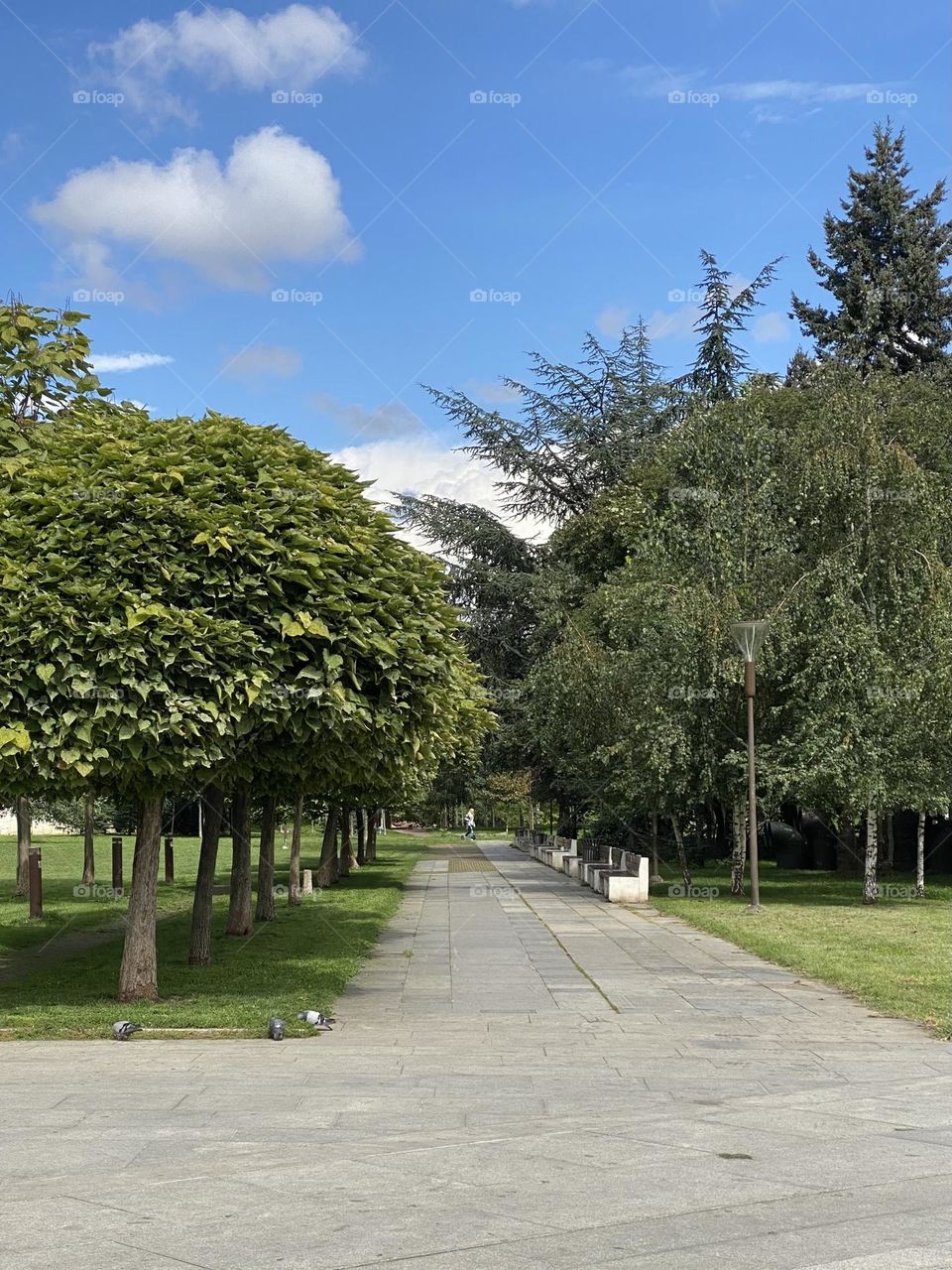 Park in Sofia Bulgaria 