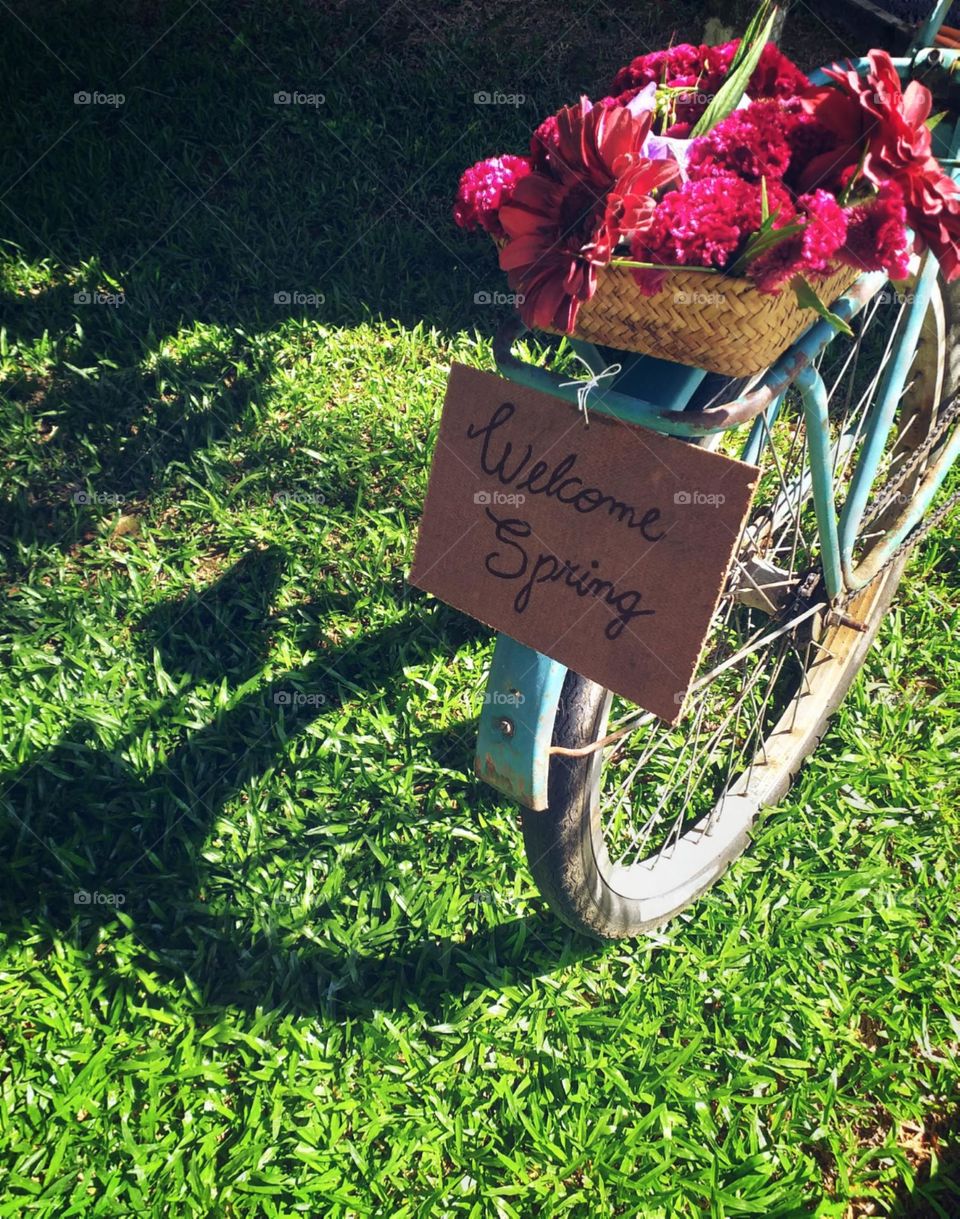 Um passeio pelas cores da primavera