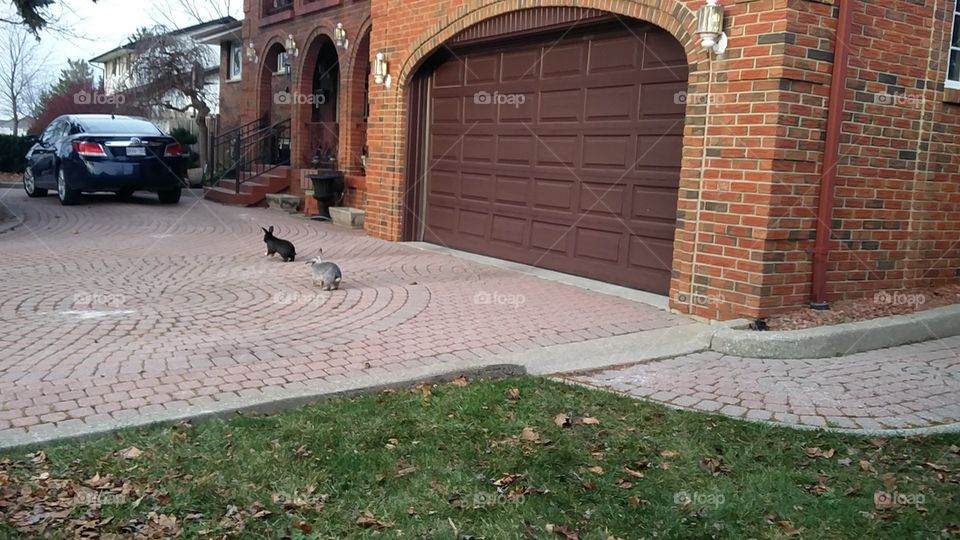 Pavement, Architecture, Building, Brick, Street