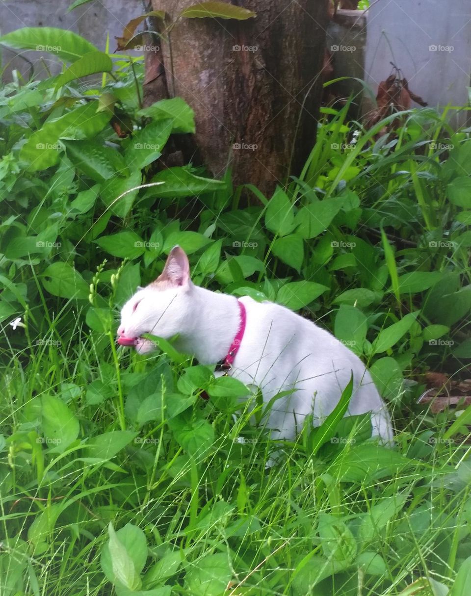 Discovering plants is fun...