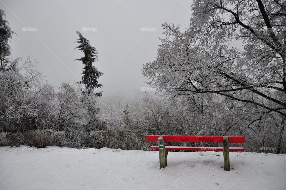 Red chair in the white scene