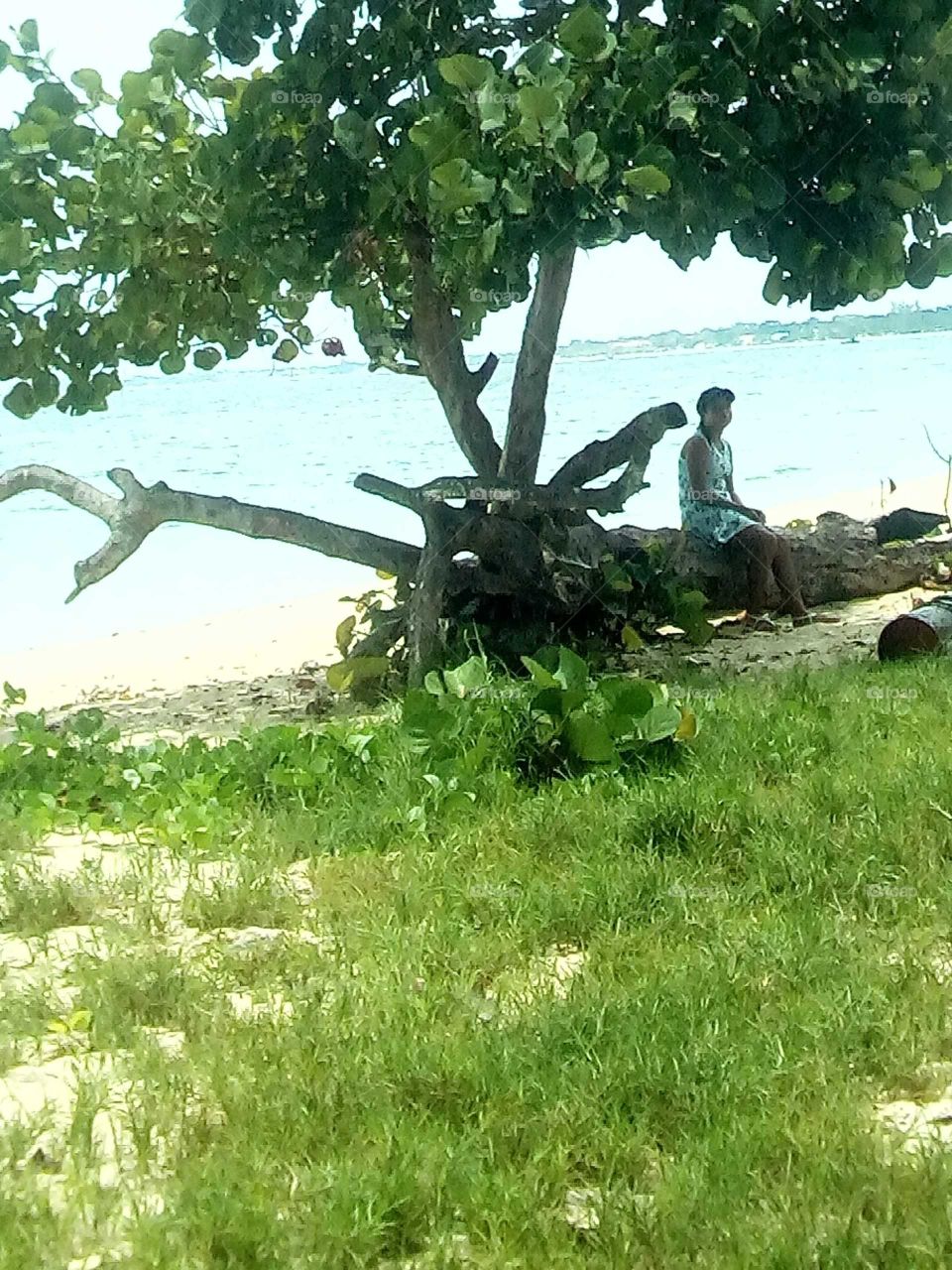 when you take photos you bring life to some thing you never see on till you take the photos