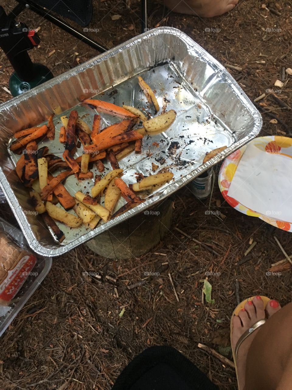 Camping french fries