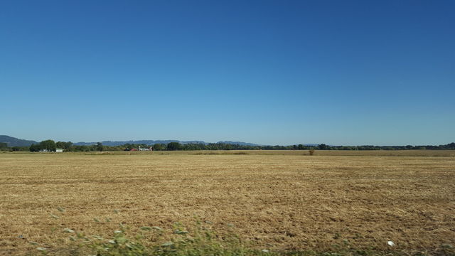 field