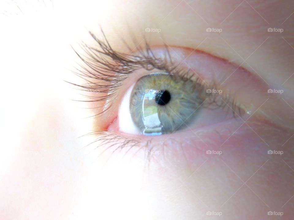 eye