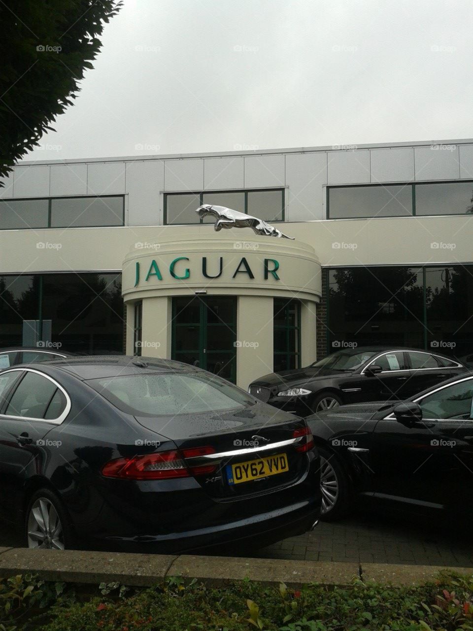 Jaguar 