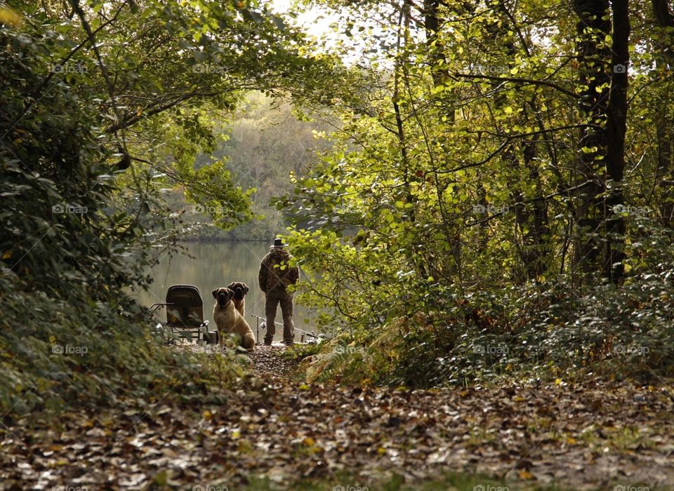 by the lake. man fishing with his dogs