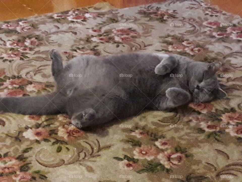 perfect imperfections