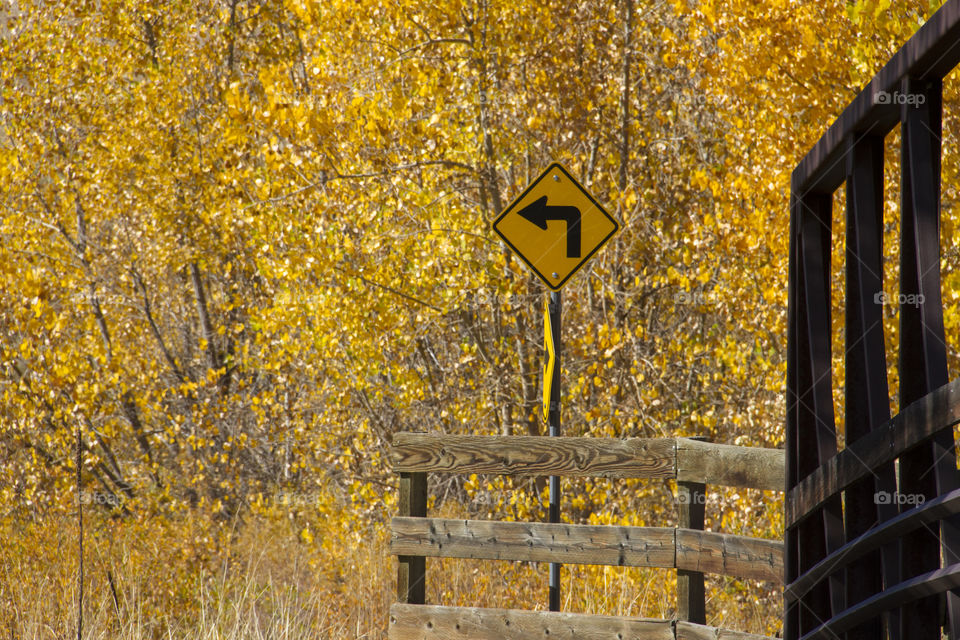 Yellow sign and yellow trees