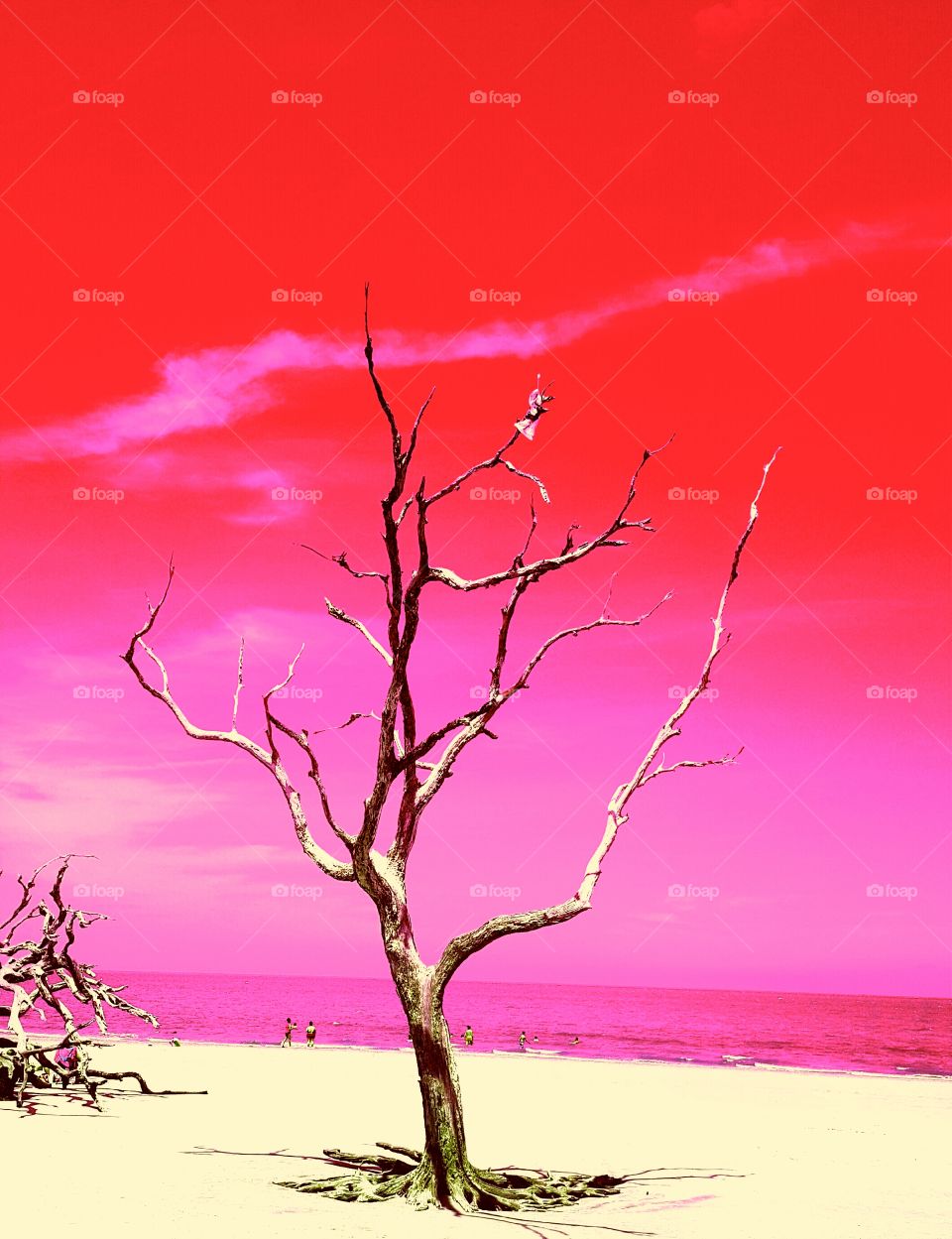 Crimson Beach