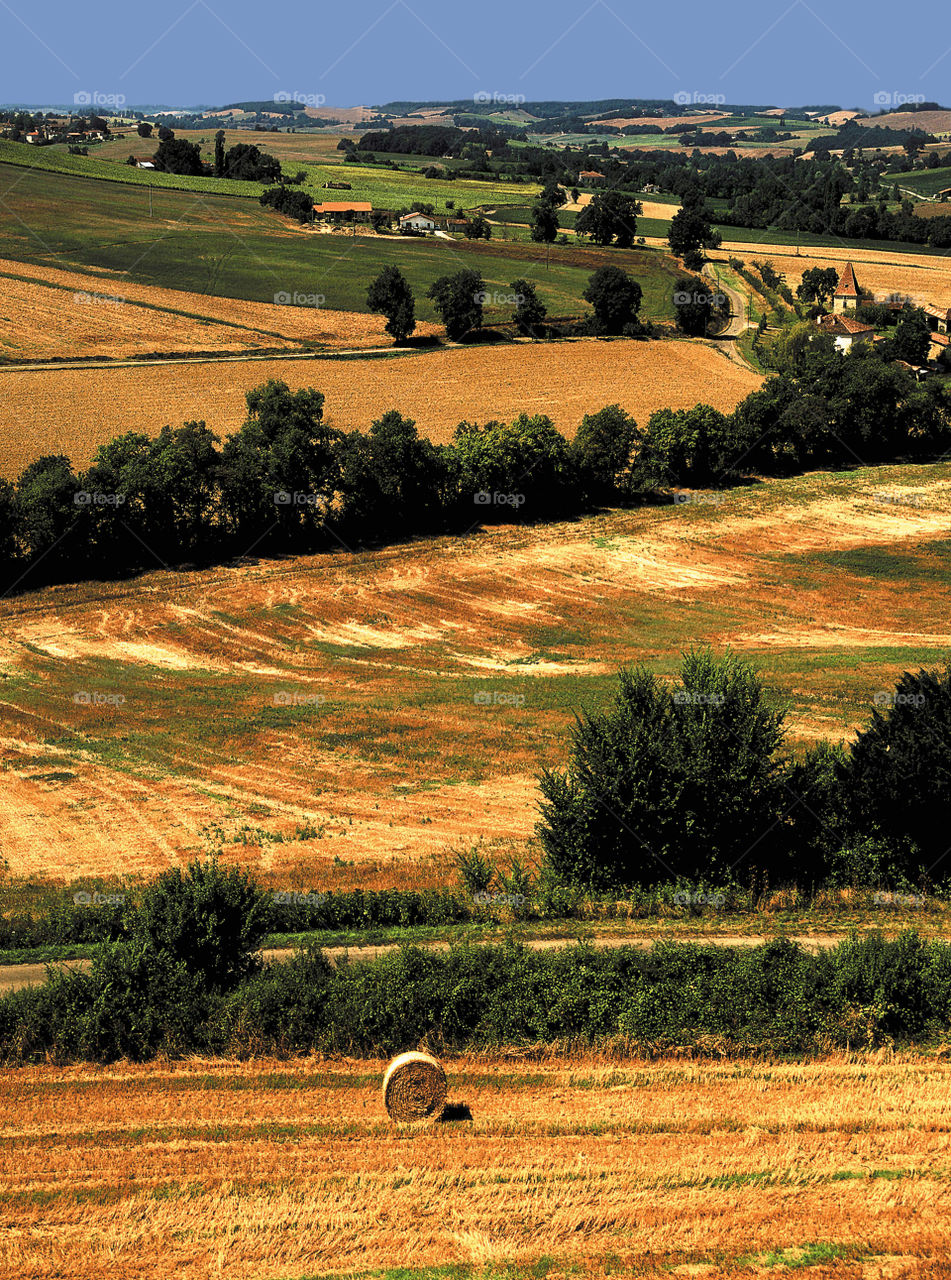 agriculture