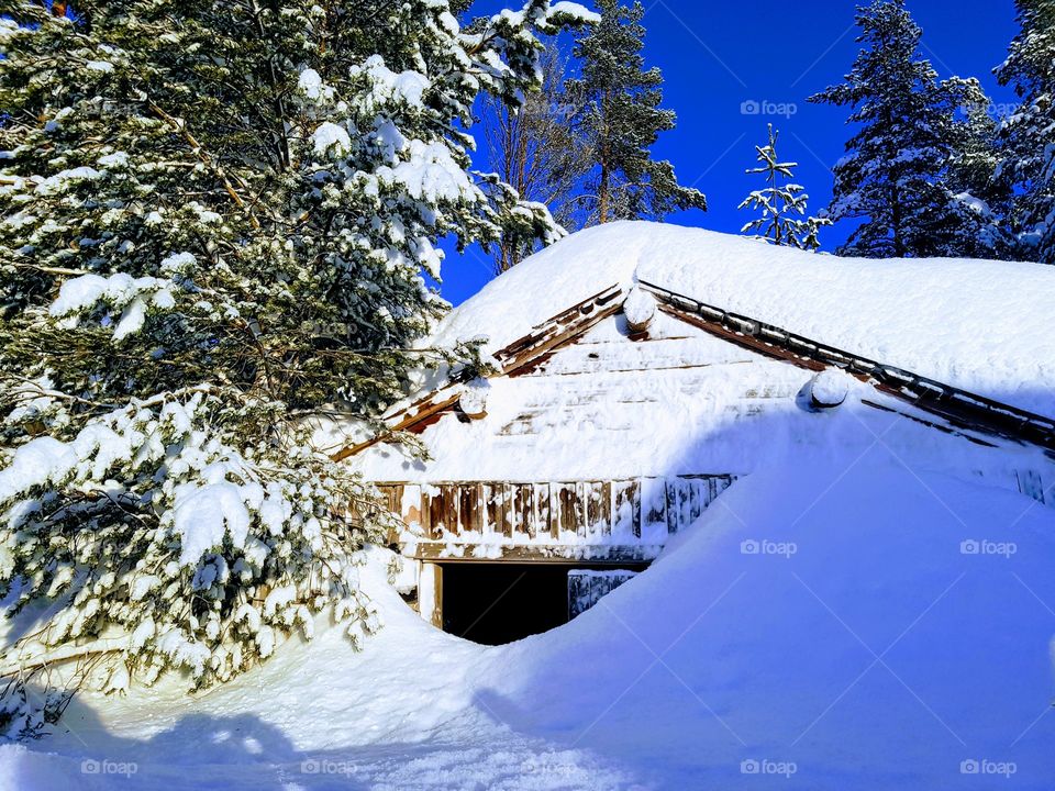 old barn in winter