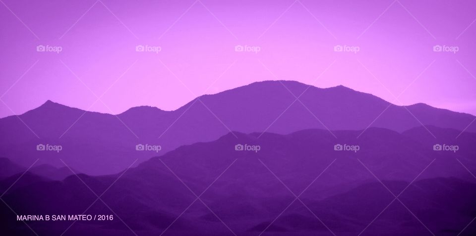 Purple story 