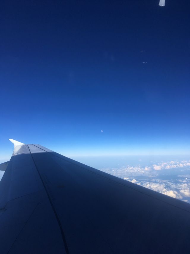 Flight 