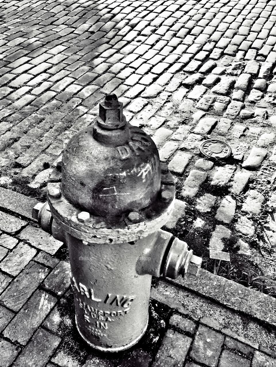 Fire Hydrant with Cobblestone Street 
