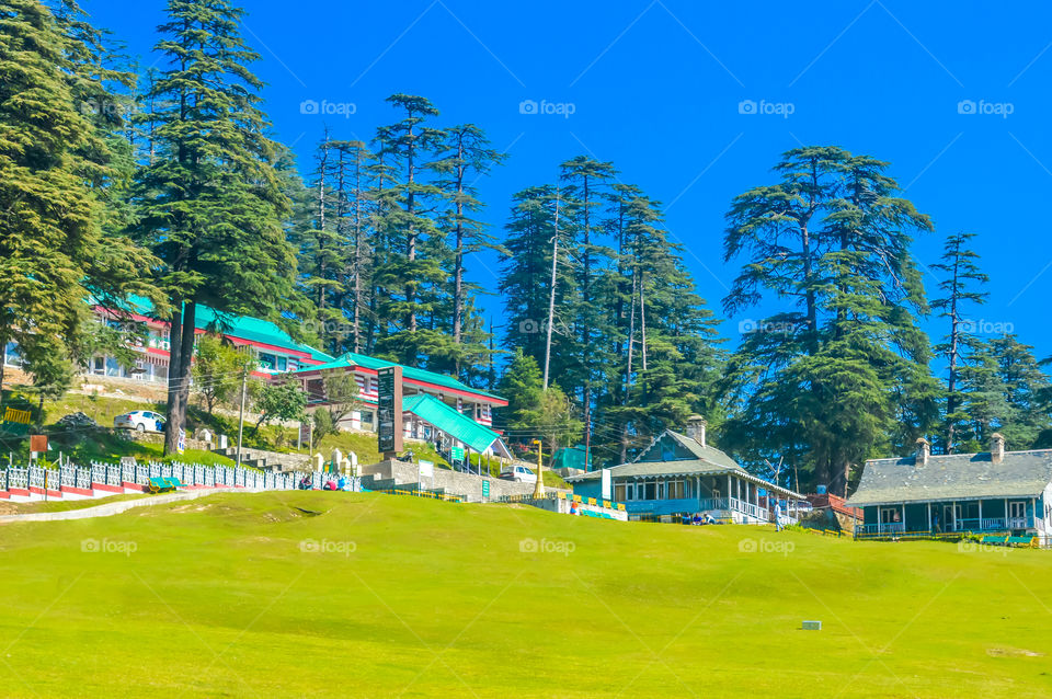 cottages in hill station of grass field in park or garden surrounded with green tree place for relaxing exercise running or walking in park with blue sky and tall trees vacation holiday concept