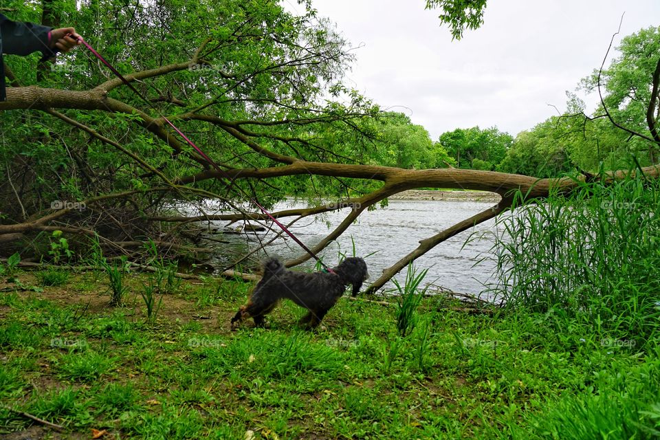 Little Explorer