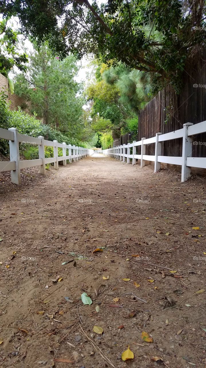 Path on the farm