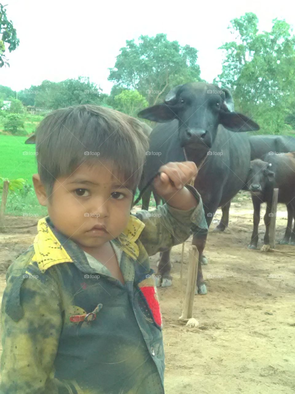 Peuple in small business