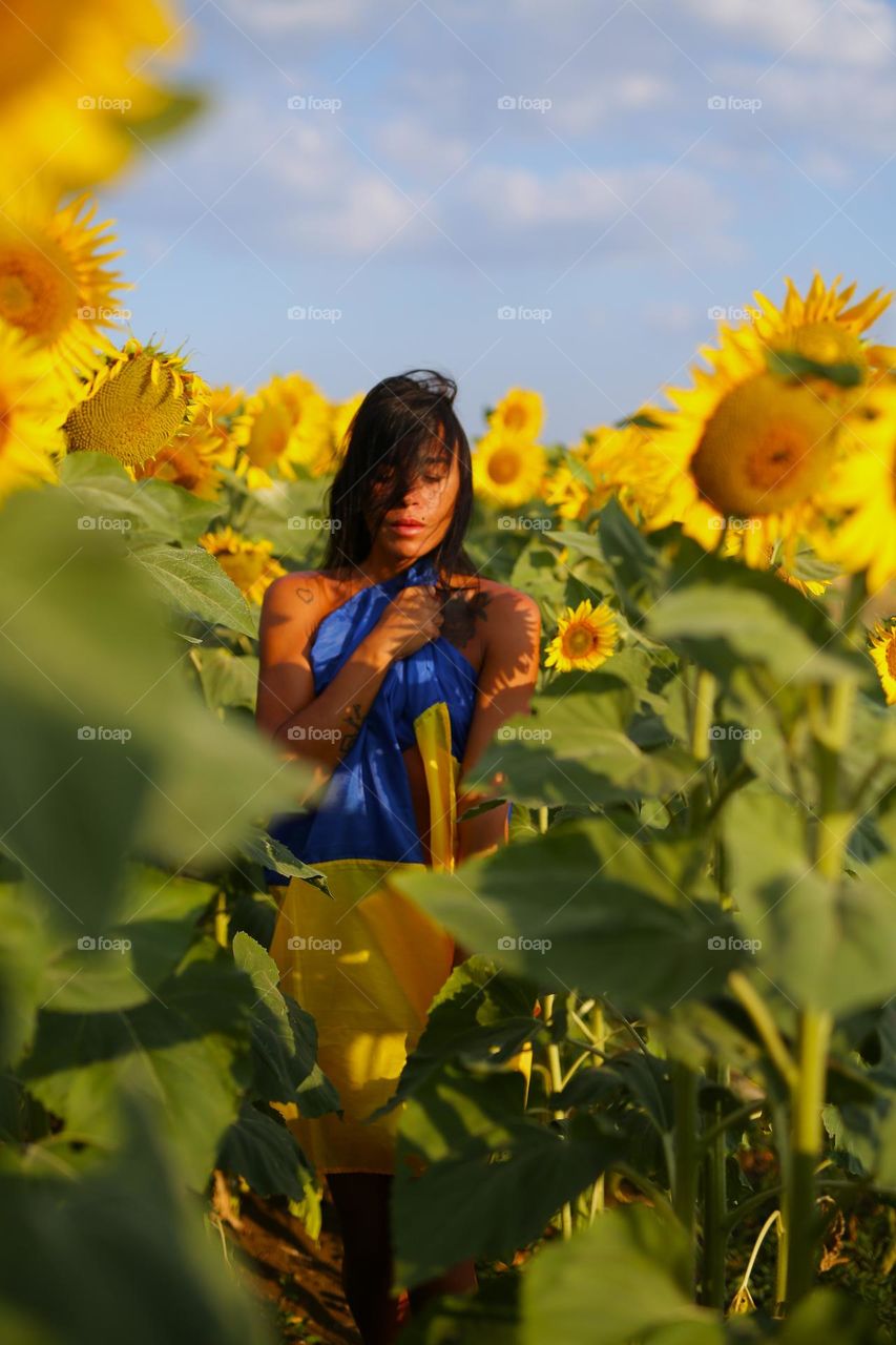 beautiful girl in a yellow field of sunflowers, wrapped in a blue-yellow flag
