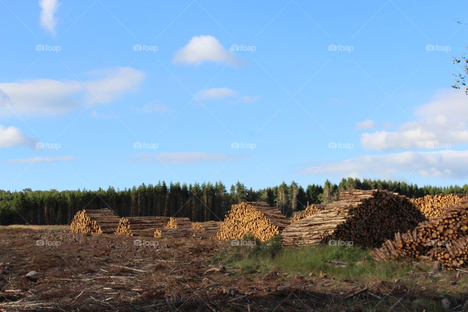 No Person, Sky, Landscape, Tree, Outdoors