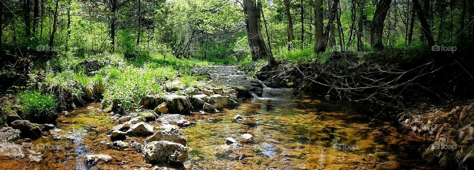 Middle Branch Creek in Summer